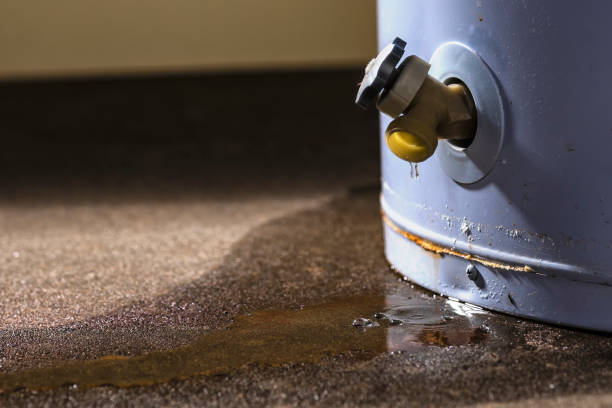Best Flood restoration services  in Oak Grove, VA