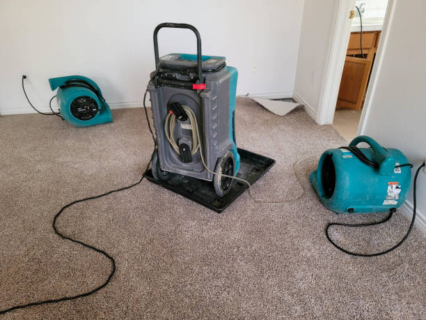 Best Flood damage cleanup  in Oak Grove, VA
