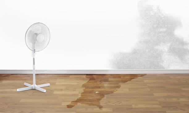 Best Water damage restoration near me  in Oak Grove, VA