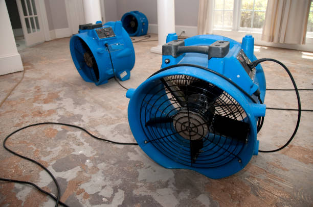 Best Basement water damage restoration  in Oak Grove, VA