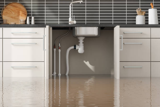 Best Water damage restoration near me  in Oak Grove, VA