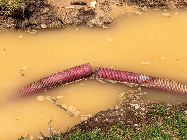 Best Carpet water damage restoration  in Oak Grove, VA