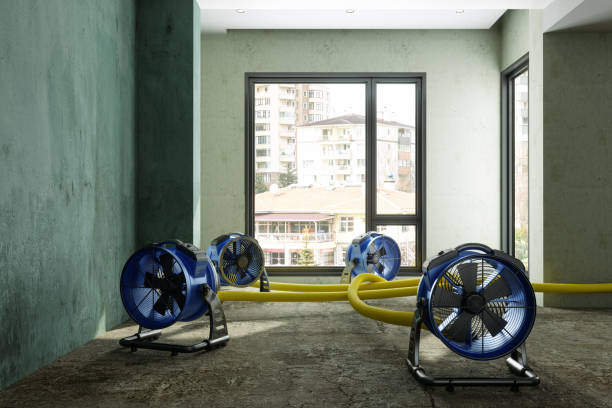 Best Commercial water damage restoration  in Oak Grove, VA