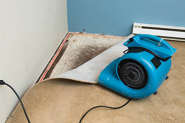 Best Sewage cleanup and water damage restoration  in Oak Grove, VA